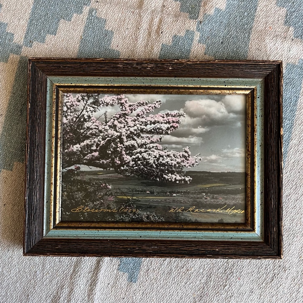 Vintage W. R. MacAskill Hand Coloured Photograph Print Professional Art Framed